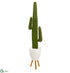 Silk Plants Direct  Cactus Artificial Plant - Pack of 1