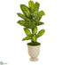 Silk Plants Direct Dieffenbachia Artificial Plant in White Urn - Pack of 1