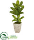 Silk Plants Direct Dieffenbachia Artificial Plant in Stone Washed Planter - Pack of 1