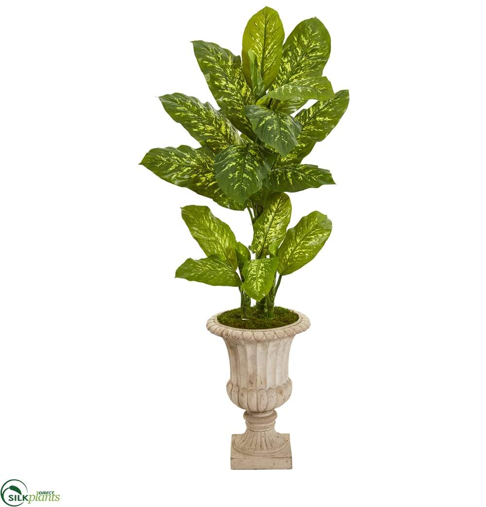 silk dieffenbachia Silk Plants Direct Dieffenbachia Artificial Plant in Sand Finished Urn