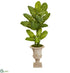Silk Plants Direct Dieffenbachia Artificial Plant in Sand Finished Urn - Pack of 1