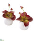 Silk Plants Direct Succulent Artificial Plant in White Planter - White - Pack of 2