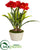 Silk Plants Direct Amaryllis Artificial Plant - Pack of 1