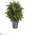 Silk Plants Direct Bracken Fern Artificial Plant - Pack of 1