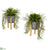 Silk Plants Direct Agave Succulent Artificial Plant in Tin Planter with Legs - Pack of 2
