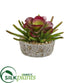 Silk Plants Direct Mixed Succulent Artificial Plant - Pack of 1