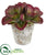 Silk Plants Direct Succulent Artificial Plant - Pack of 1