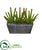 Silk Plants Direct Cactus Succulent Artificial Plant - Pack of 1