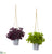 Silk Plants Direct Basil Artificial Plant in Hanging Bucket - Pack of 2
