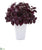 Silk Plants Direct Basil Artificial Plant - Burgundy - Pack of 1