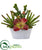 Silk Plants Direct Mixed Succulent Artificial Plant - Pack of 1