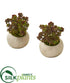 Silk Plants Direct Sedum Succulent Artificial Plant in Stone Planter - Pack of 2