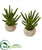 Silk Plants Direct Finger Cactus Artificial Plant in Stone Planter - Pack of 2