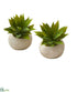 Silk Plants Direct Mini Agave Succulent Artificial Plant in Stone Planter - Pack of 2