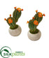 Silk Plants Direct Flowering Cactus Succulent Artificial Plant in Stone Planter - Pack of 2