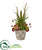 Silk Plants Direct Succulent and Grass Artificial Plant - Pack of 1