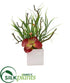 Silk Plants Direct Succulent and Grass Artificial Plant - Pack of 1