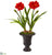 Silk Plants Direct Double Amaryllis Artificial Plant - Pack of 1