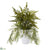 Silk Plants Direct Fern and Tillandsia Moss Artificial Plant - Pack of 1