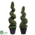 Outdoor Boxwood Spiral Topiary - Green - Pack of 1 - 4' Shown on Left