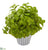 Silk Plants Direct Basil Artificial Plant - Burgundy - Pack of 1