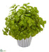 Silk Plants Direct Basil Artificial Plant - Green - Pack of 1