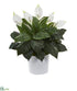 Silk Plants Direct Spathiphyllum Artificial Plant - Pack of 1
