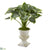 Silk Plants Direct Variegated Hosta Artificial Plant - Pack of 1