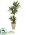 Silk Plants Direct Yucca Artificial Plant - Pack of 1