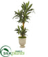 Silk Plants Direct Yucca Artificial Plant - Pack of 1