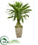 Silk Plants Direct Dracaena Artificial Plant - Pack of 1