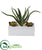 Silk Plants Direct Aloe and Echeveria Succulent Artificial Plant - Pack of 1