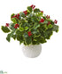 Silk Plants Direct Variegated Holly Artificial Plant in White Planter - Pack of 1
