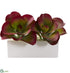 Silk Plants Direct Succulent Artificial Plant - Pack of 1