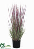 Silk Plants Direct Outdoor Horsetail Reed Grass - Mauve - Pack of 2
