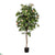 Outdoor Peach Tree - Green - Pack of 2