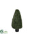 Outdoor Cypress Topiary - Green - Pack of 1
