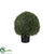 Outdoor Cypress Ball Topiary Tree - Green - Pack of 2