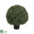 Outdoor Cypress Ball Topiary Tree - Green - Pack of 2