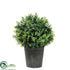 Silk Plants Direct Outdoor Basil Topiary - Green - Pack of 2