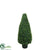 Outdoor Basil Cone Topiary - Green - Pack of 2