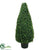 Outdoor Basil Cone Topiary - Green - Pack of 2
