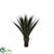 Outdoor Giant Agave Plant - Green/Yellow - Pack of 2