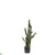 Outdoor Cactus - Green - Pack of 2