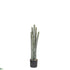 Silk Plants Direct Outdoor Column Cactus - Green - Pack of 2