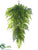 Silk Plants Direct Fern Swag - Green - Pack of 2