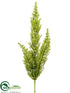 Silk Plants Direct Asparagus Fern Bush - Green - Pack of 12