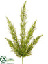 Silk Plants Direct Asparagus Fern Bush - Green - Pack of 6