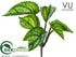 Silk Plants Direct Outdoor Argreia Nervosa Bush - Green - Pack of 12