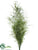 Preserved Asparagus Fern Bundle - Green - Pack of 6